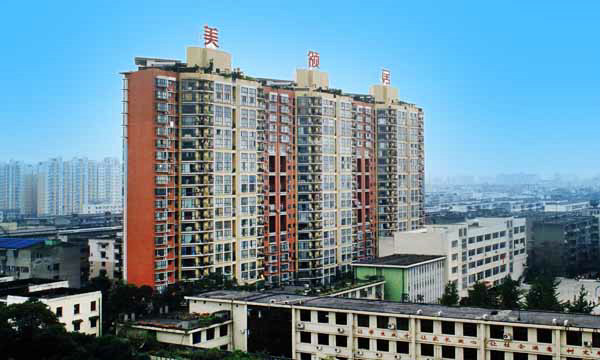美领居