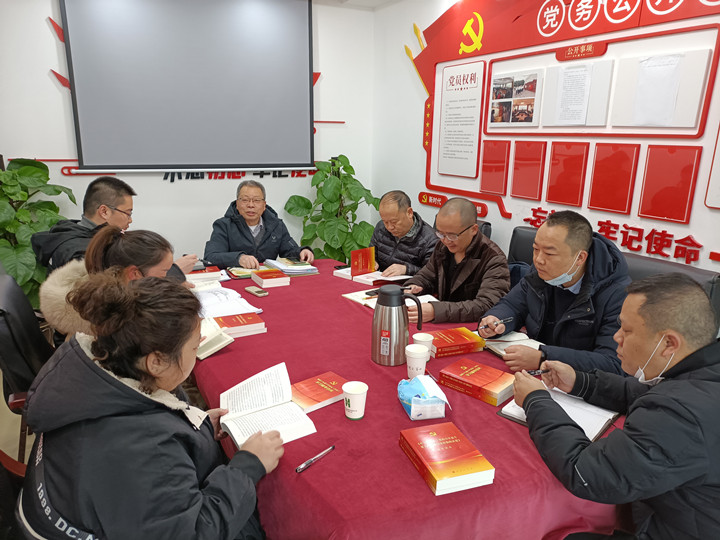 学懂弄通 求真务实 ——公司直属项目第一党支部召开党员专题学习讨论会