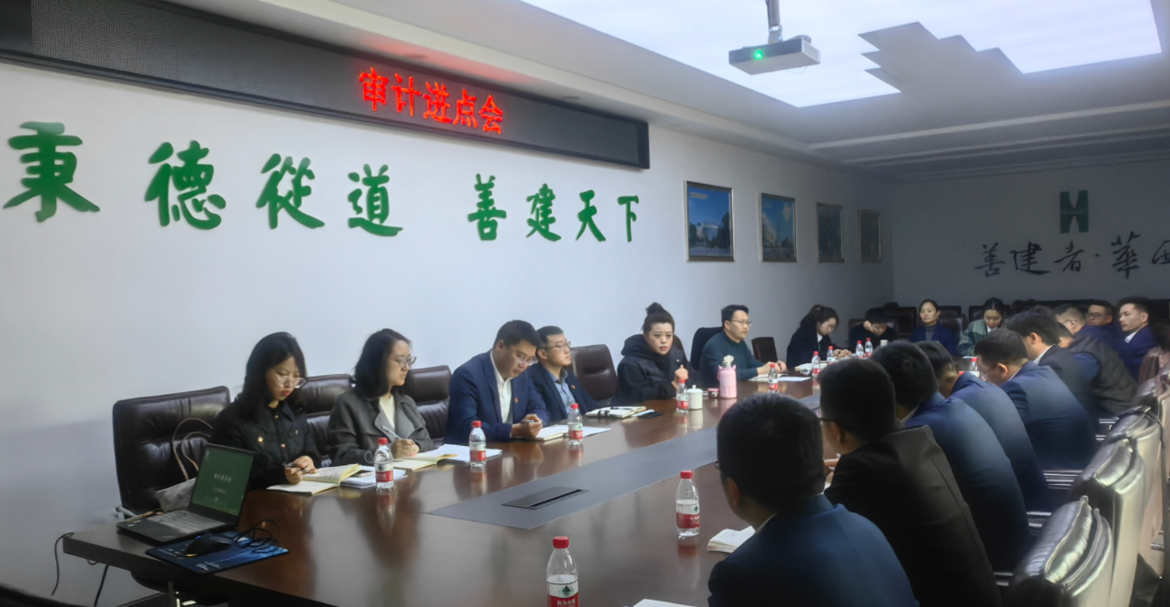 公司党委委员、纪委书记付晓一行到绵阳青义项目督导复工复产工作